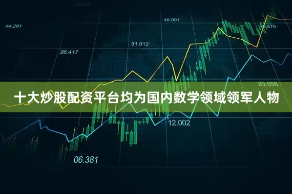十大炒股配资平台均为国内数学领域领军人物