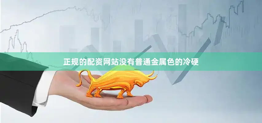 正规的配资网站没有普通金属色的冷硬